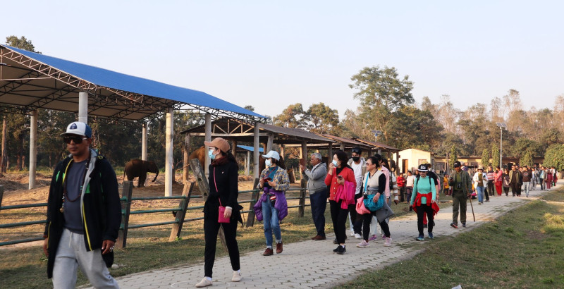 elephant-chitwan-(5)-1703918923.jpg